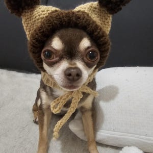 Flavia heeft een foto van zijn/haar aankoop toegevoegd