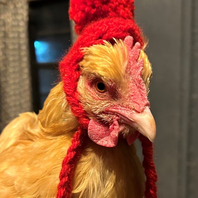 Chicken Hat With Ties - Etsy