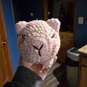 Donald added a photo of their purchase