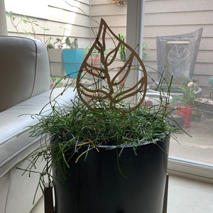 Sara added a photo of their purchase