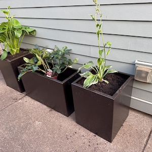 Todd added a photo of their purchase
