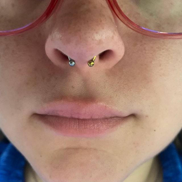 HALF GOLD SILVER Anodized Titanium Internally Threaded Astm F136 Single Circular Horseshoe Barbell Septum Ring 16g or 14g Etsy
