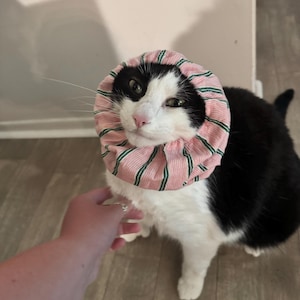 Annie ha añadido una foto de su compra