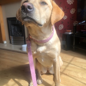 Hollie added a photo of their purchase