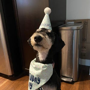 Samantha ha añadido una foto de su compra