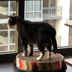 Lime Fabric cover handcrafted wood legged base and large long-lasting replaceable cardboard insert Cat Scratcher and Cat Bed -