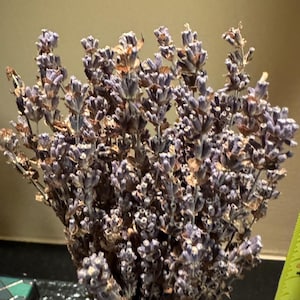 AGW added a photo of their purchase