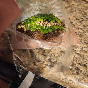 Comprador de Etsy ha añadido una foto de su compra