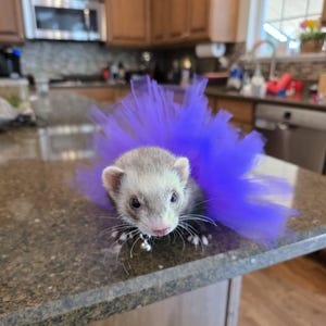 Maria added a photo of their purchase