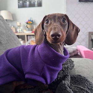 Holly added a photo of their purchase