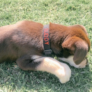 Mandy heeft een foto van zijn/haar aankoop toegevoegd
