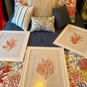 Benita added a photo of their purchase