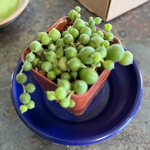 Christina added a photo of their purchase