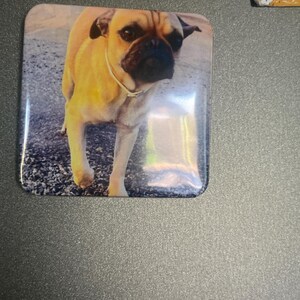 Alexis added a photo of their purchase