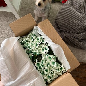 Jaclyn added a photo of their purchase