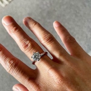 P. added a photo of their purchase