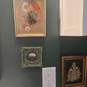 Daniel added a photo of their purchase