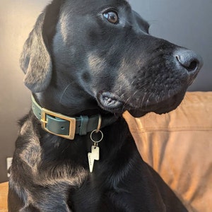 Daisy added a photo of their purchase