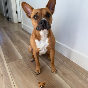 Alivia heeft een foto van de aankoop toegevoegd