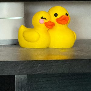 Jane added a photo of their purchase