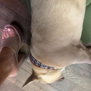 Kimberly a ajouté une photo de son achat