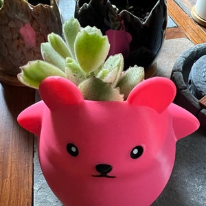 Aimee added a photo of their purchase
