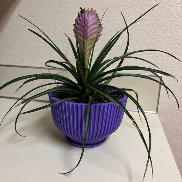 3D Printed Pink Heart Vase & Brush Holder - Floral Decor & Organizer