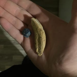 ashlee adicionaram uma foto da sua compra