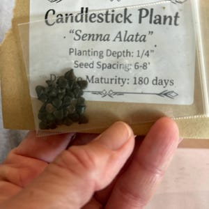 Mary added a photo of their purchase
