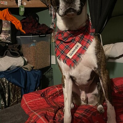 Orange Dog Bandanas Custom Plaid Dog Bandana Embroidered - Etsy