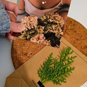 ZYCERLYN added a photo of their purchase