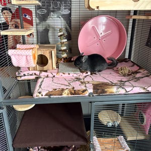 Isabella added a photo of their purchase