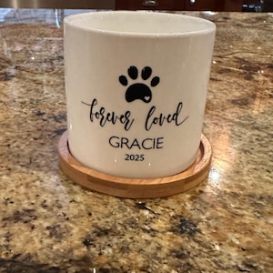 Ana added a photo of their purchase