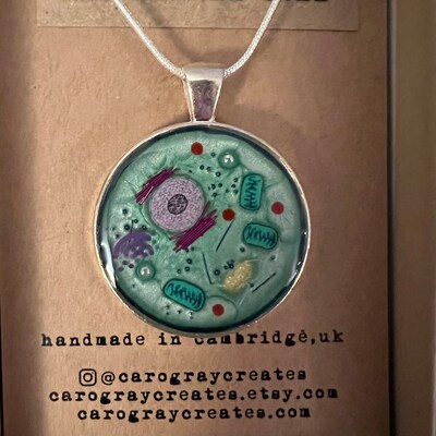 Plant Cell Key Chain Key Ring Cell Biology Biology Gift - Etsy