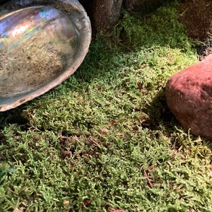 Sean added a photo of their purchase