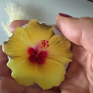 Luciana added a photo of their purchase