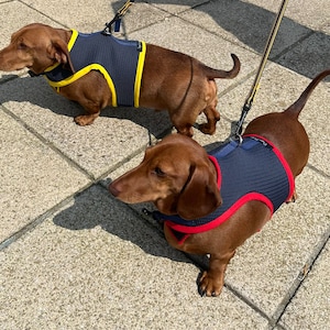 Rhodri added a photo of their purchase