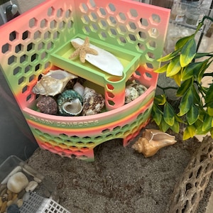 Eliza added a photo of their purchase