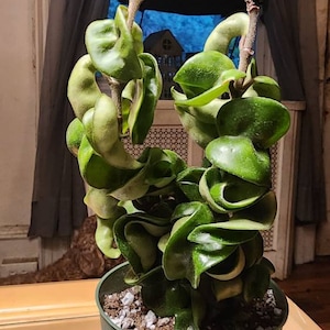 Dejaniera added a photo of their purchase