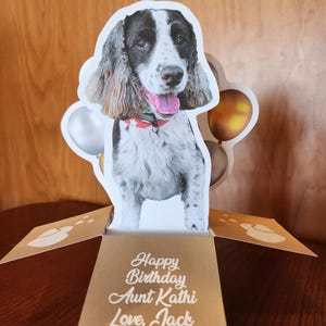 Marine added a photo of their purchase