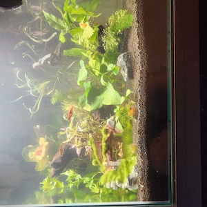 Melissa added a photo of their purchase
