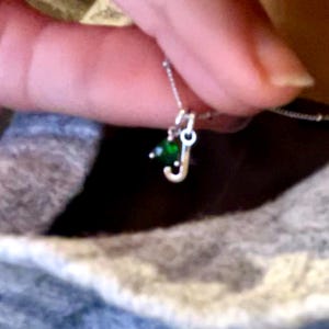 Judy added a photo of their purchase