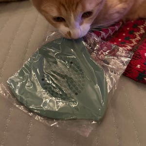 Etsy buyer added a photo of their purchase
