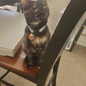 Allyson added a photo of their purchase