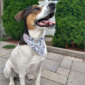 Kathrine added a photo of their purchase