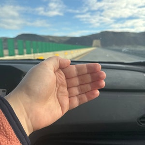 Kelsey added a photo of their purchase