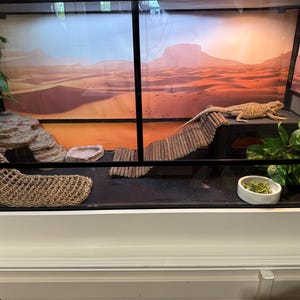 Emily dodał(a) zdjęcie swoich zakupów