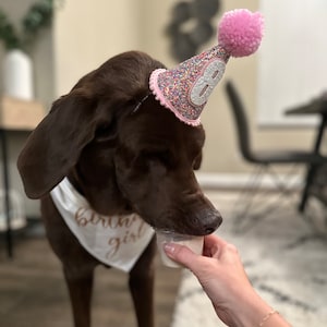 Holly added a photo of their purchase
