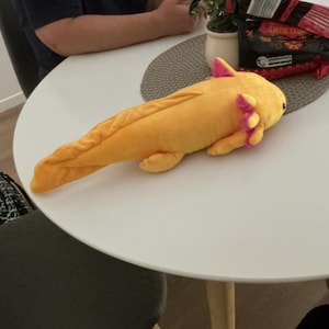 Rae heeft een foto van de aankoop toegevoegd