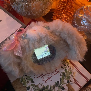 Gill added a photo of their purchase